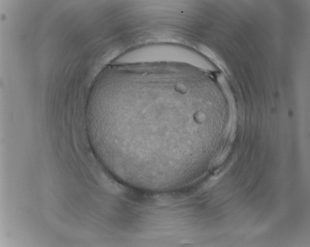 X0000075810481200610061735