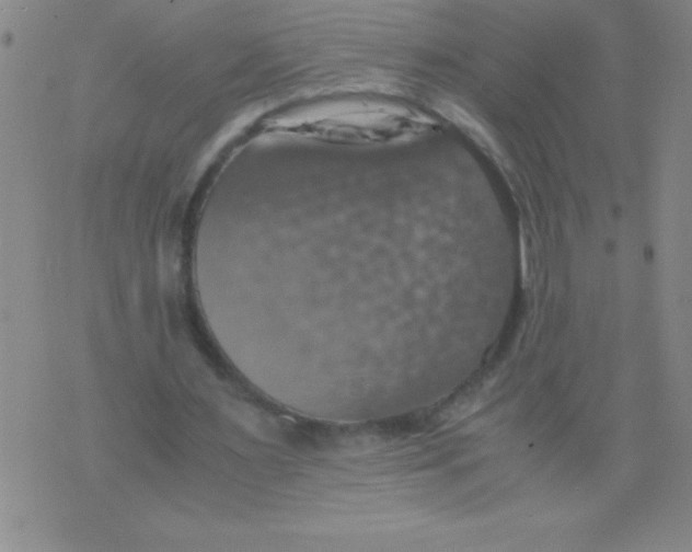 X0000075810483200610061735