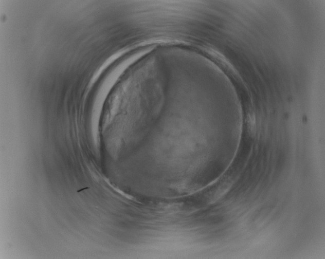 X0000075810484200610061735