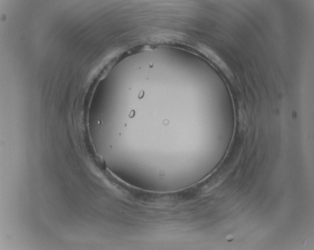 X0000075810485200610061735