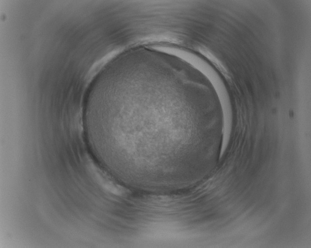 X0000075810486200610061735