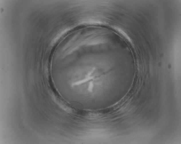 X0000075810487200610061735