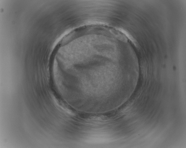 X0000075810488200610061735