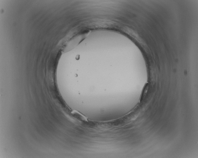 X0000075810489200610061735