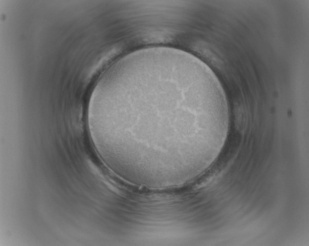 X0000075810490200610061735