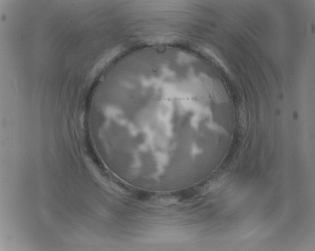 X0000075810491200610061735