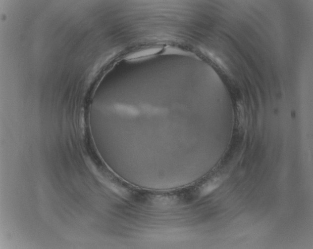 X0000075810494200610061735