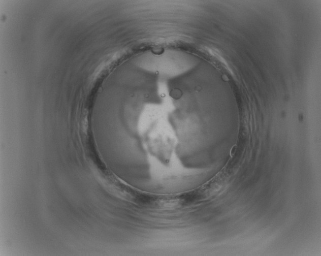 X0000075810495200610061735