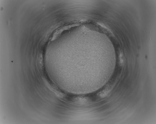 X0000075810498200610061735