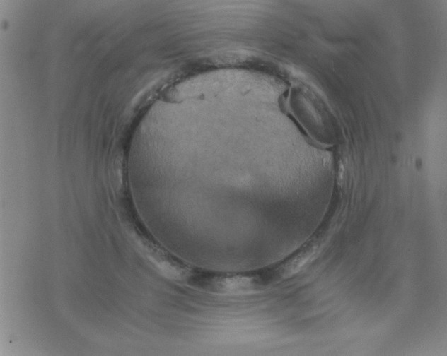 X0000075810501200610061735