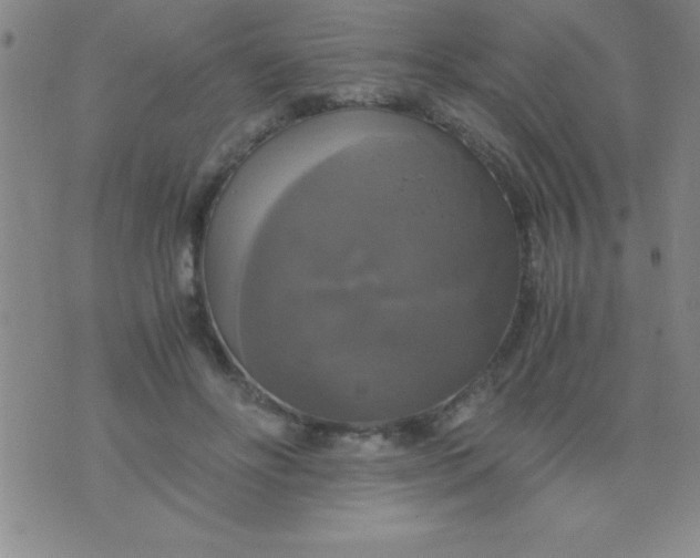 X0000075810502200610061735