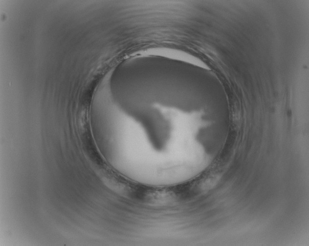 X0000075810503200610061735