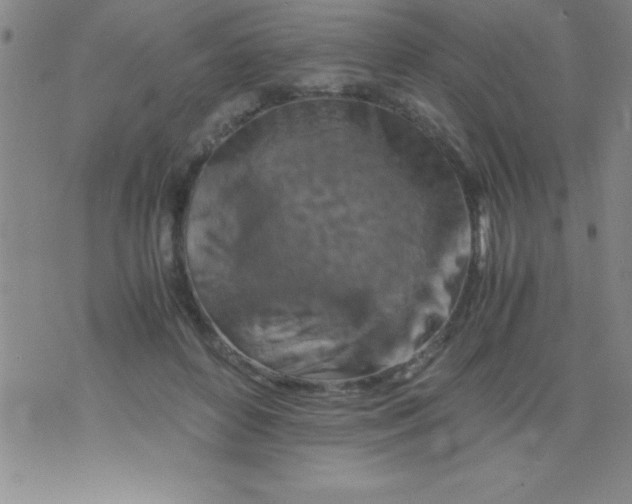 X0000075810504200610061735