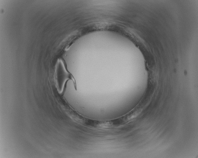 X0000075810505200610061735