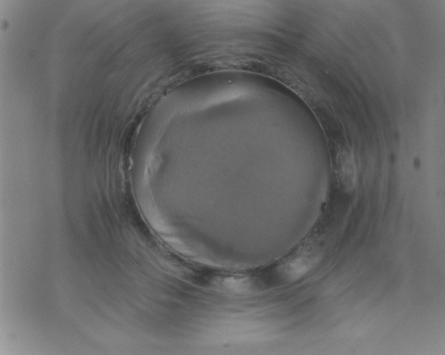 X0000075810506200610061735