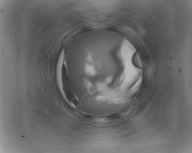 X0000075810507200610061735