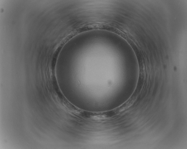 X0000075810508200610061735