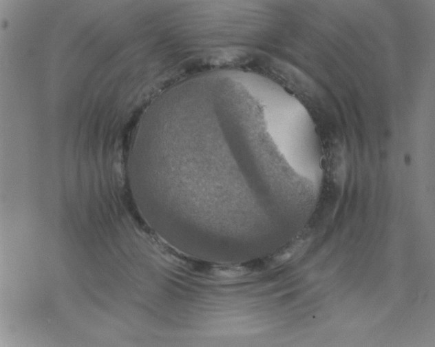 X0000075810510200610061735