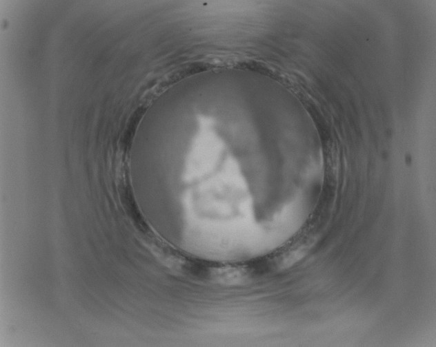 X0000075810511200610061735