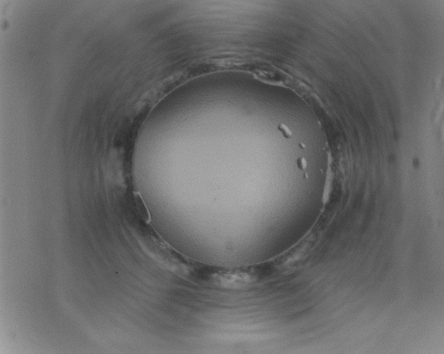 X0000075810512200610061735