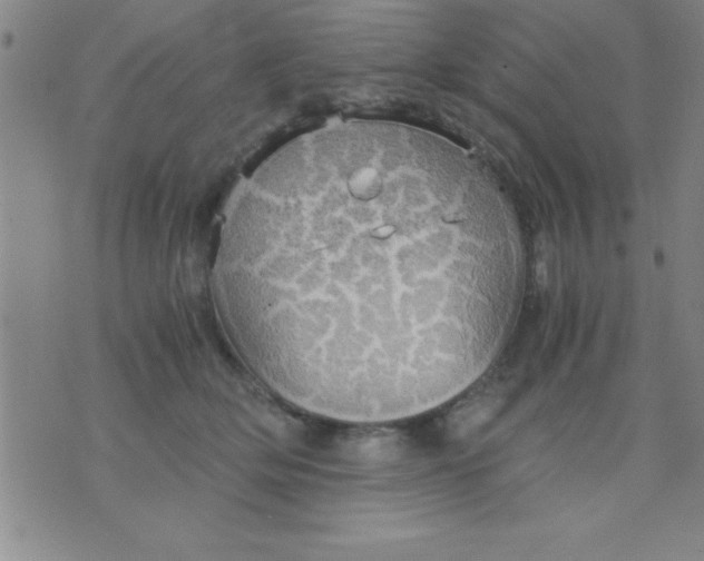 X0000075810514200610061735