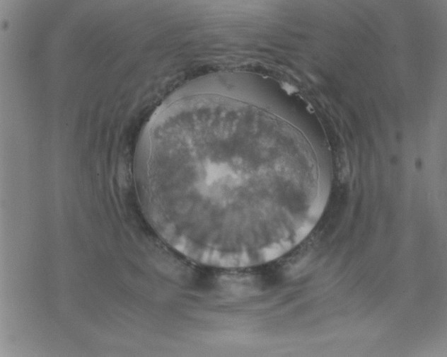 X0000075810515200610061735