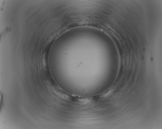 X0000075810516200610061735