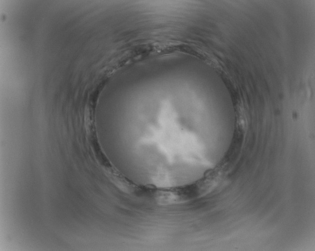 X0000075810519200610061735