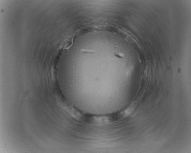 X0000075810520200610061735