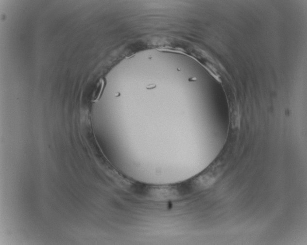 X0000075810521200610061735