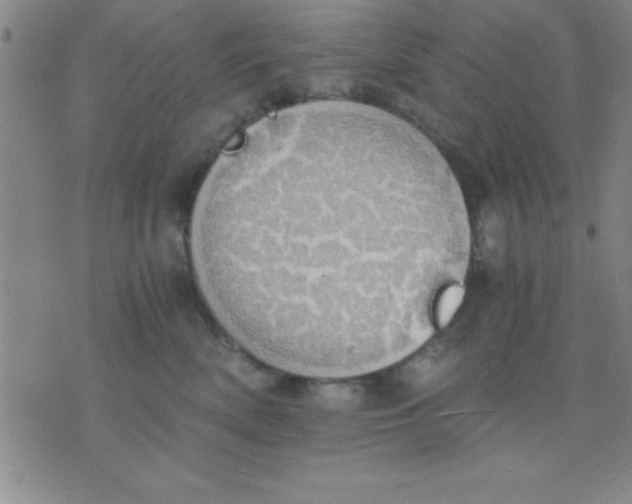 X0000075810522200610061735