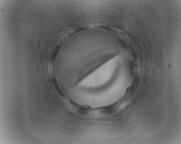 X0000075810523200610061735