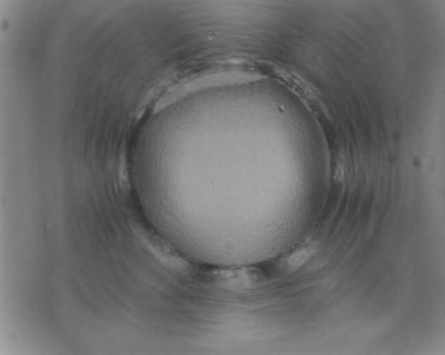 X0000075810524200610061735