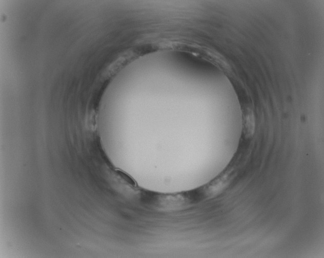 X0000075810525200610061735