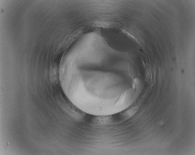 X0000075810526200610061735