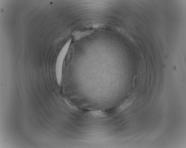 X0000075810528200610061735