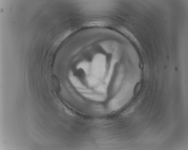 X0000075810529200610061734