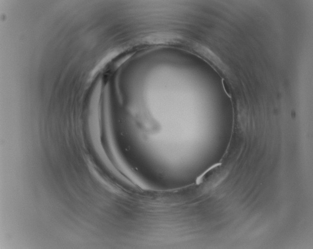 X0000075810530200610061734