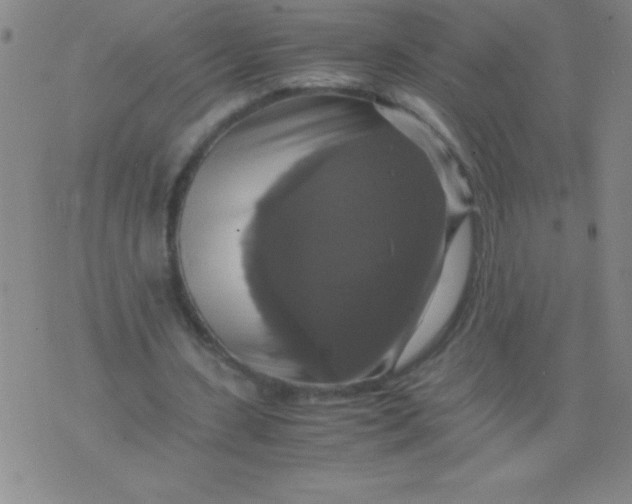 X0000075810531200610061734