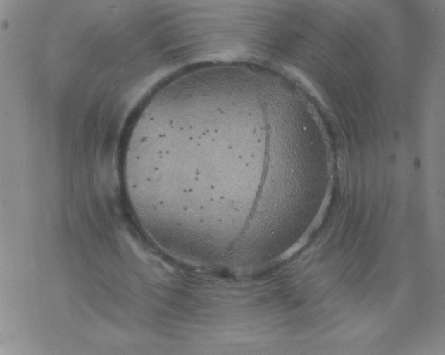 X0000075810532200610061734