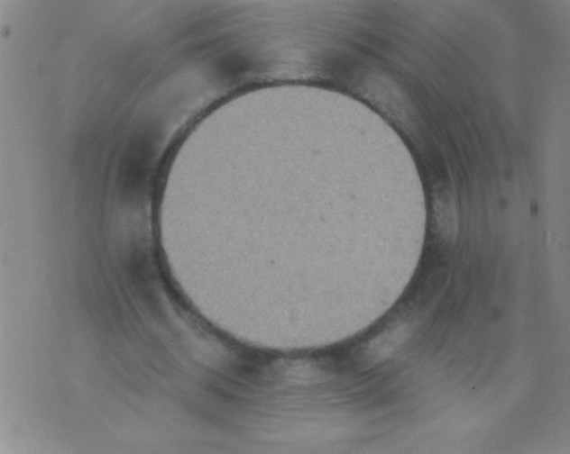 X0000075810534200610061734