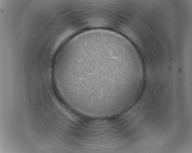 X0000075810535200610061734