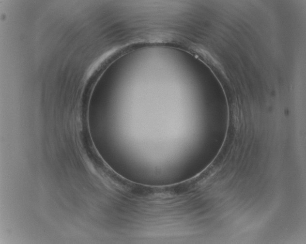 X0000075810536200610061734