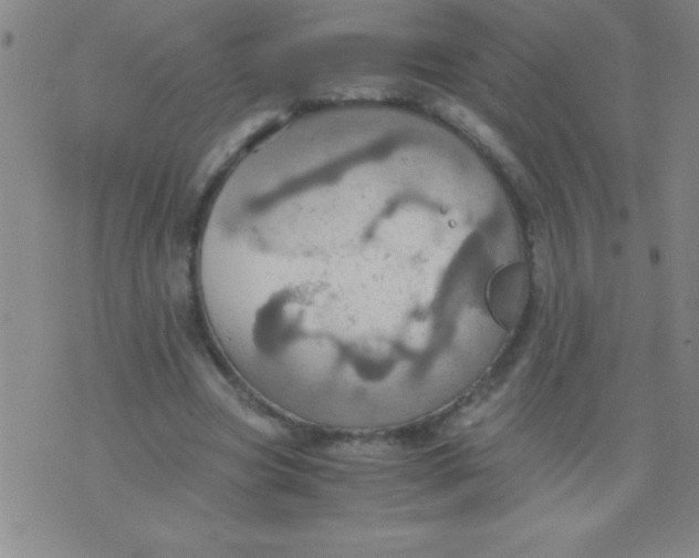 X0000075810537200610061734