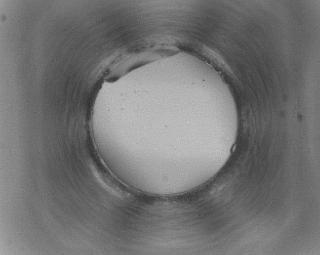 X0000075810538200610061734