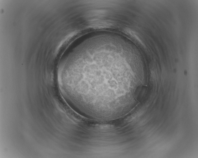 X0000075810539200610061734