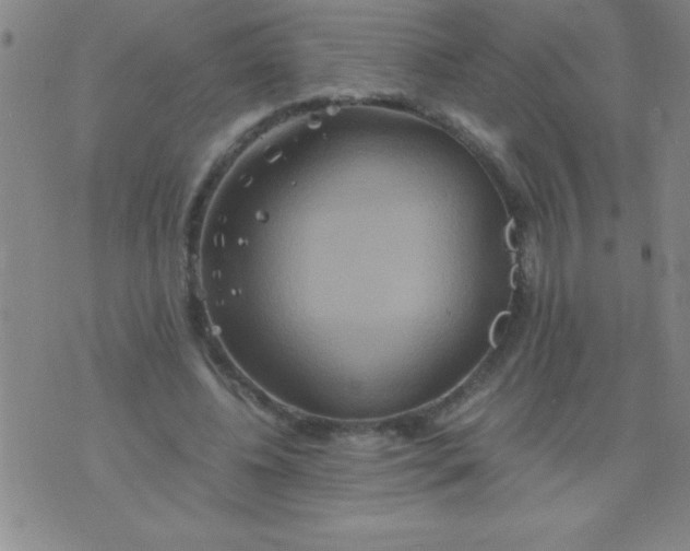 X0000075810540200610061734