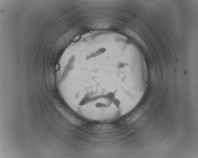 X0000075810541200610061734