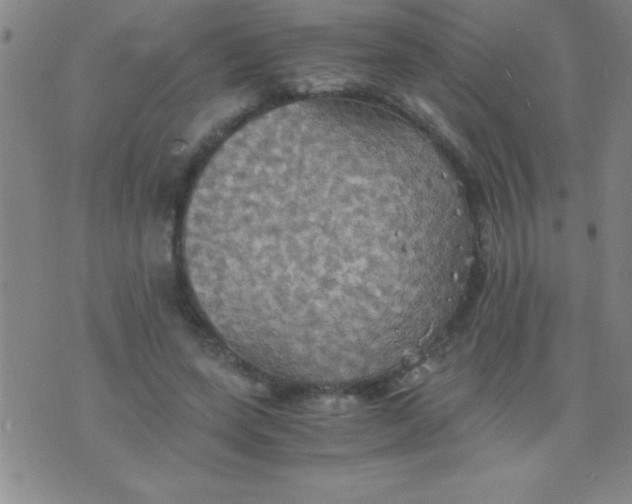 X0000075810543200610061734