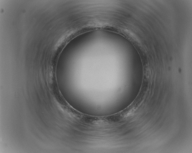 X0000075810544200610061734